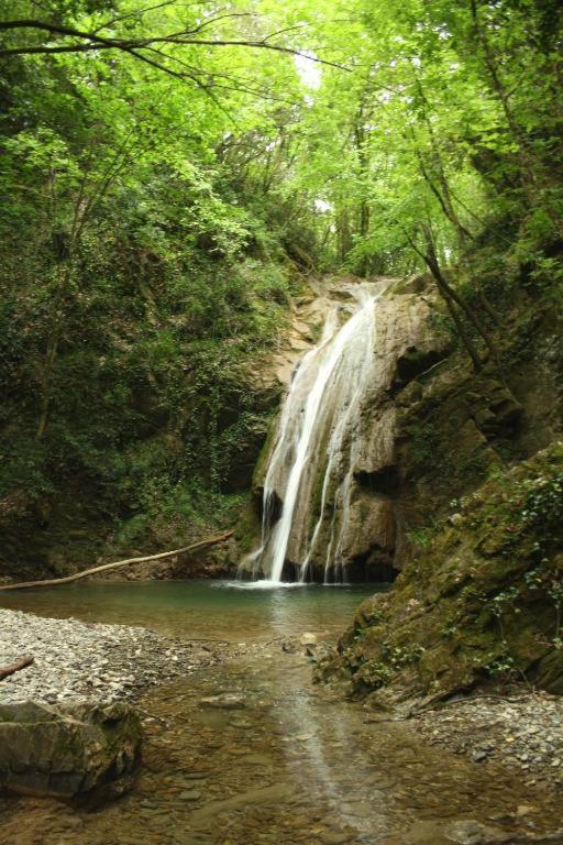 La Casa Di Chianni La Pieve 아파트 외부 사진