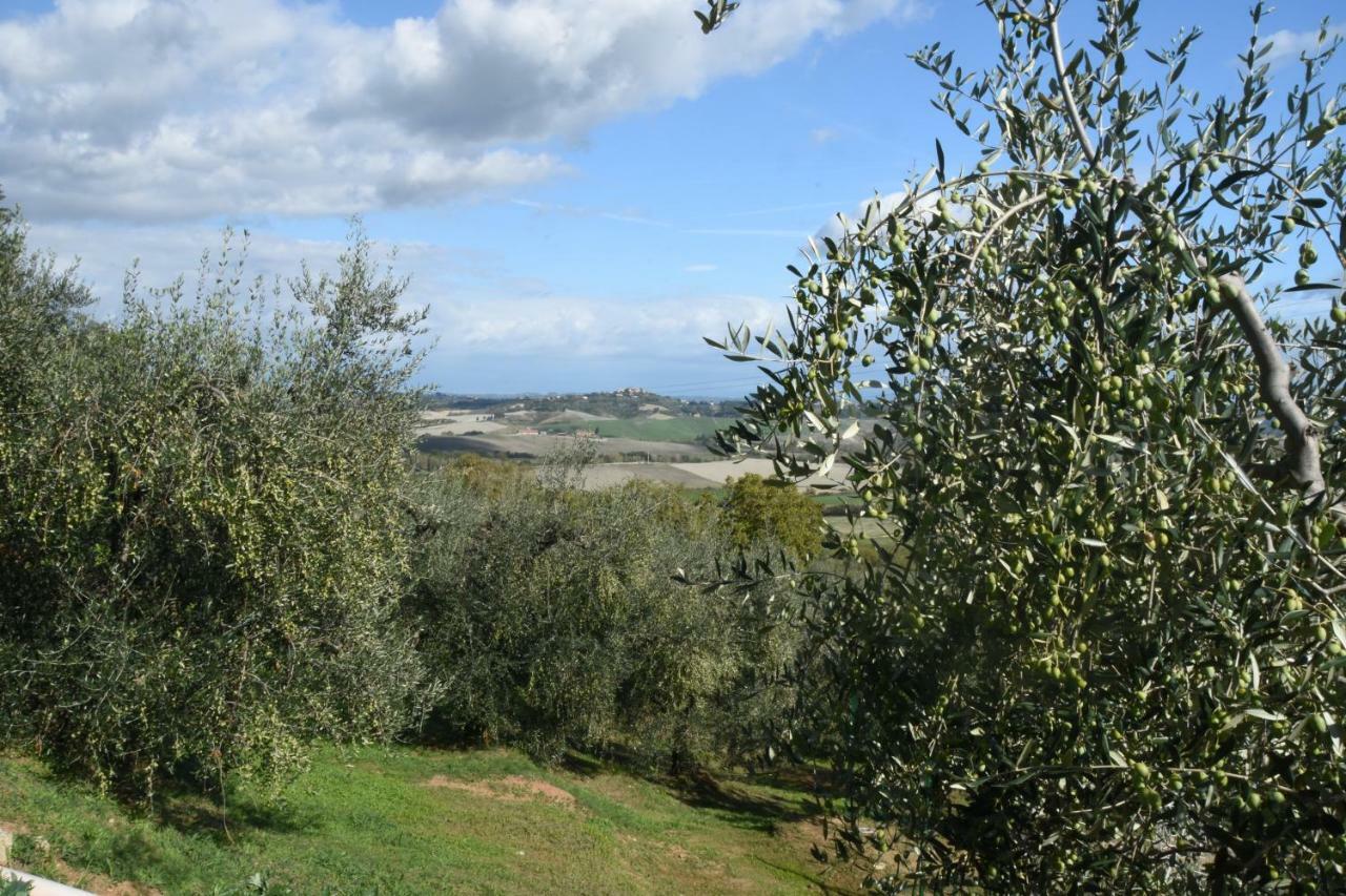 La Casa Di Chianni La Pieve 아파트 외부 사진